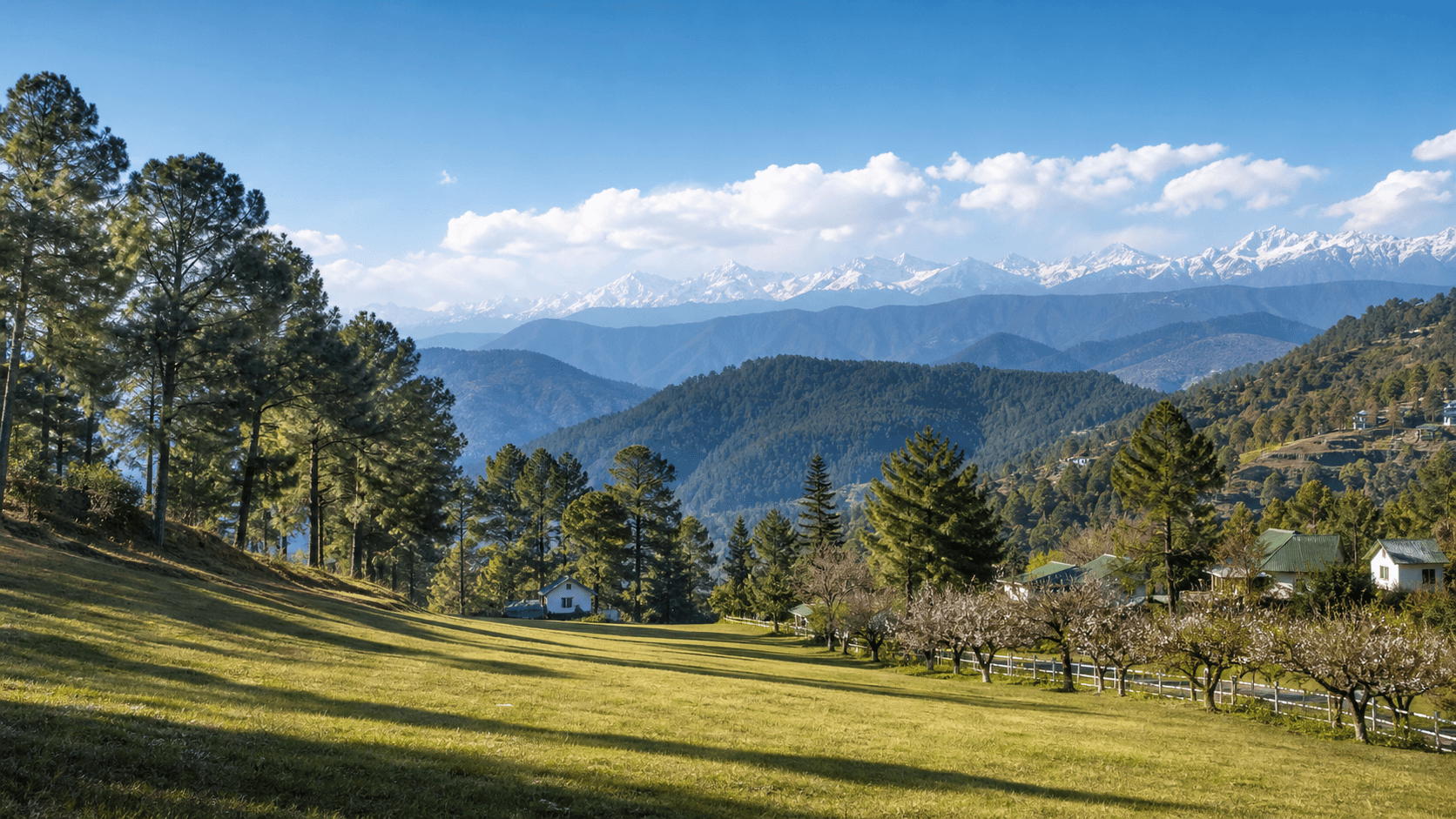 Open pine meadow landscape in Ranikhet with distant Himalayan views